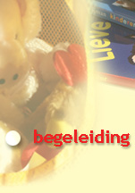 begeleiding